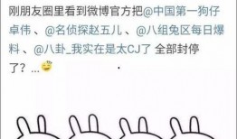 带你吃瓜之娱乐项目,揭秘娱乐圈幕后故事